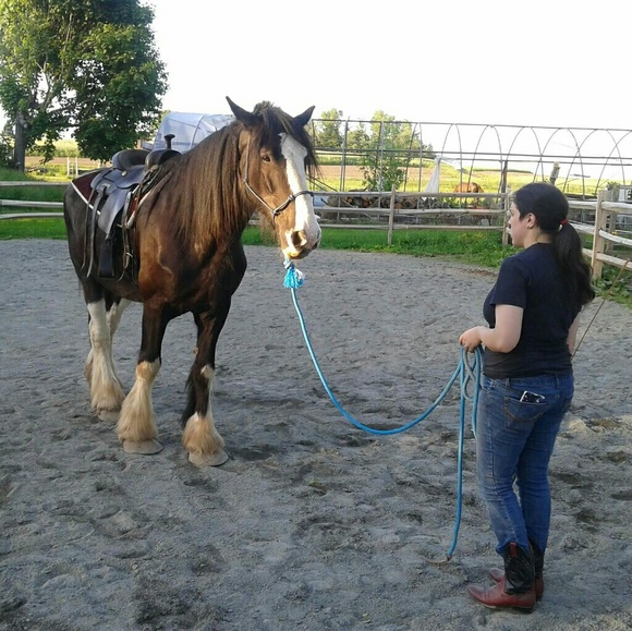 Meet your Posher, Jeni - Picture 2 of 4